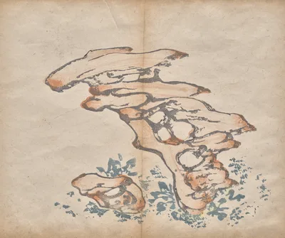 Untitled, 1625