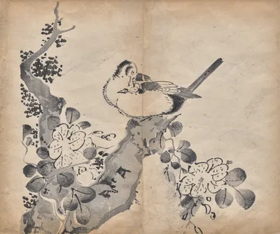 Blossoms and Birds, 1625