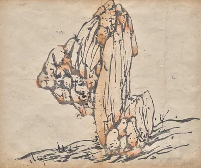 Untitled, 1625