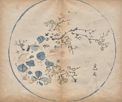 Blossoms, 1625