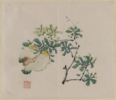 Branch with Pomegranate
