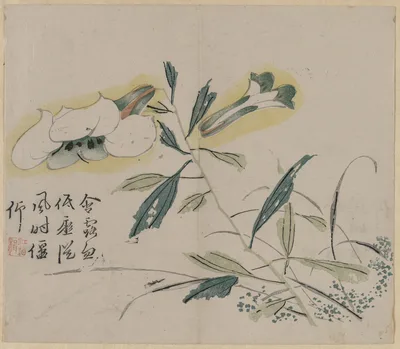 Flowering Lily