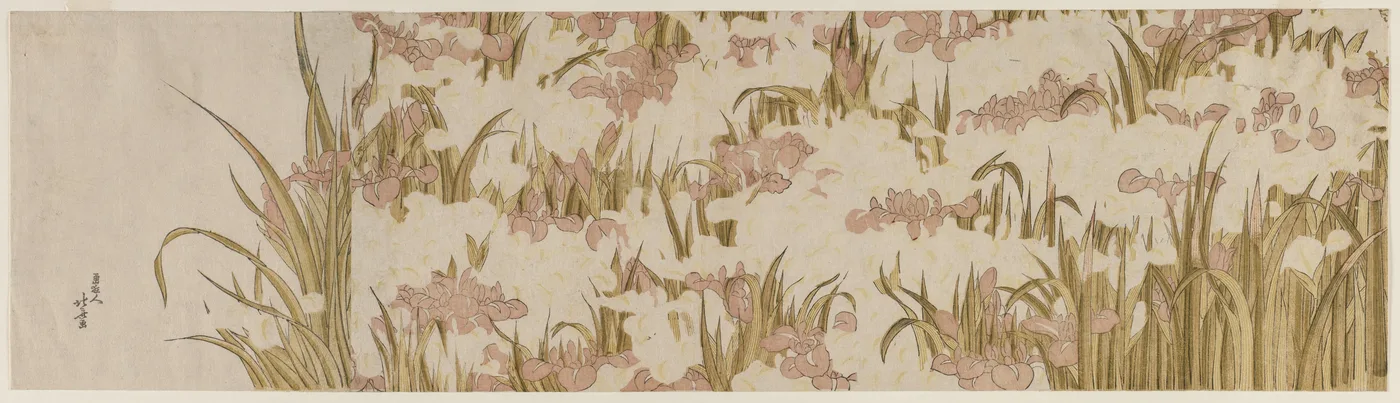 White and Purple Irises, 1800