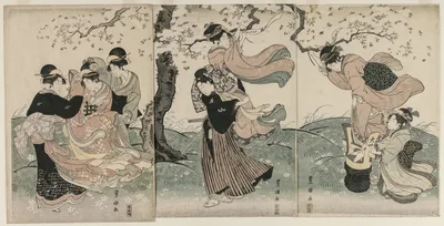 Cherry Blossoms in the Wind, 1790