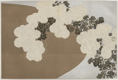 Flowers of a Hundred Worlds (Momoyogusa): Chrysanthemums (Momoyogusa), 1909