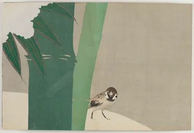 Flowers of a Hundred Worlds (Momoyogusa): Bamboo in Snow (Secchuchiku), 1909