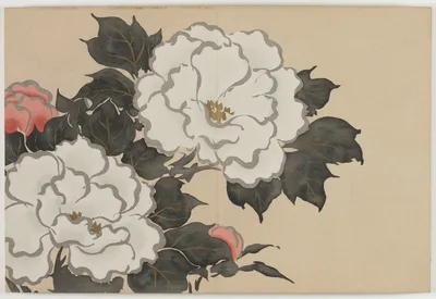 Flowers of a Hundred Worlds (Momoyogusa): Peonies (Fukamigusa), 1909