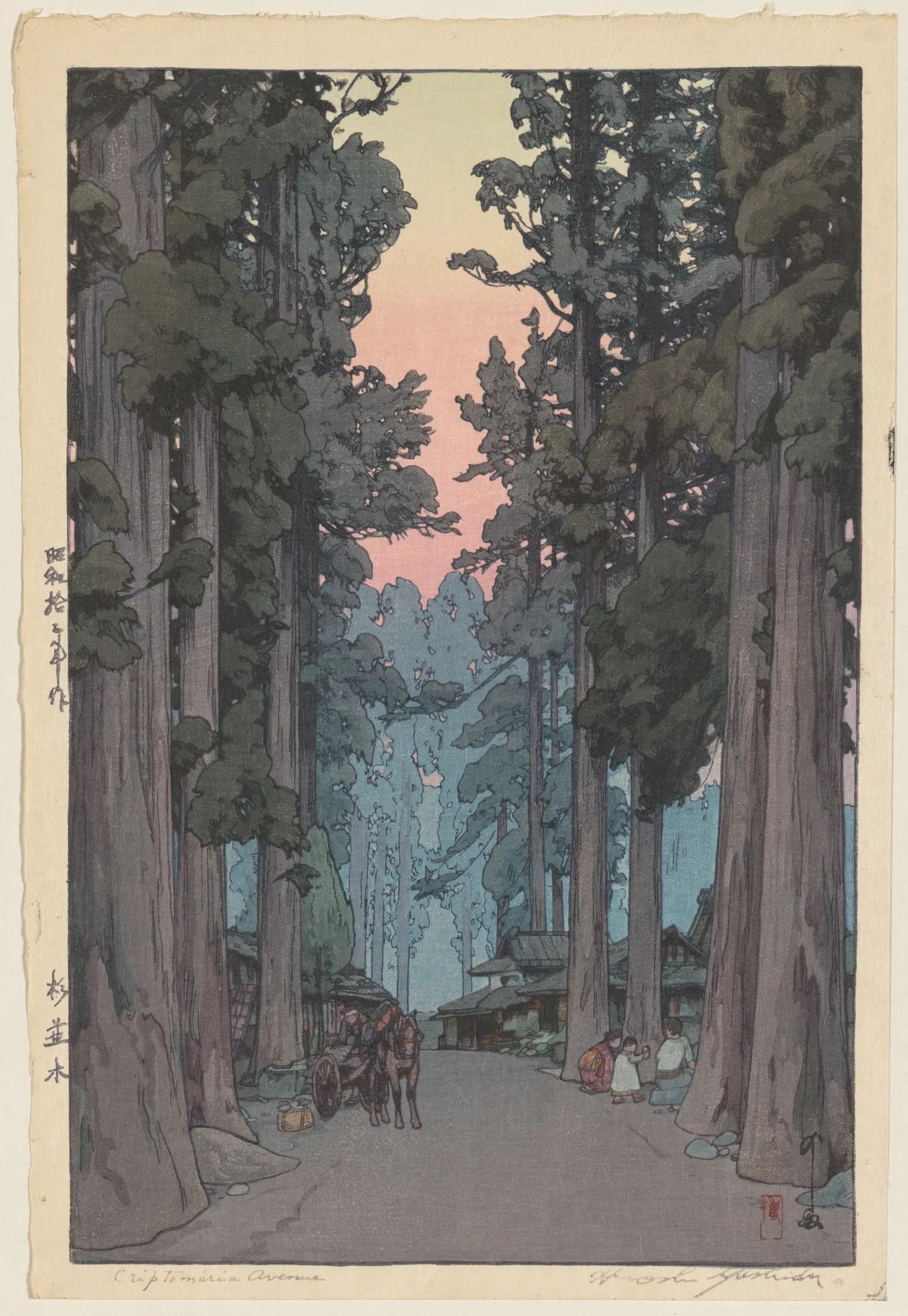 Crytomeria Avenue, 1937