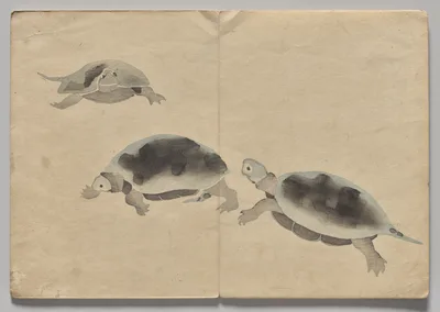 Scene from The Kōrin Picture Book (Volume 2), 1800