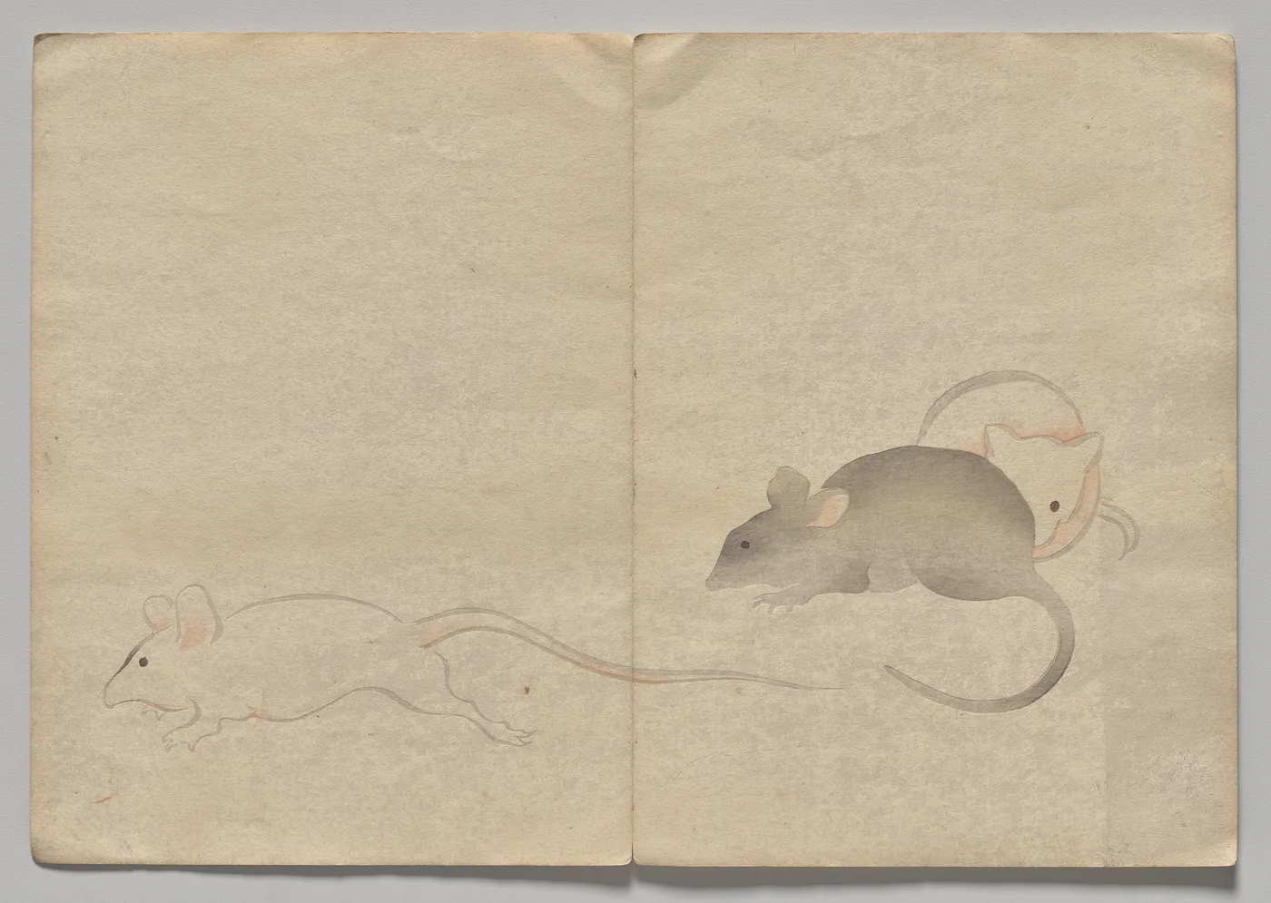 Scene from The Kōrin Picture Book (Volume 2), 1800