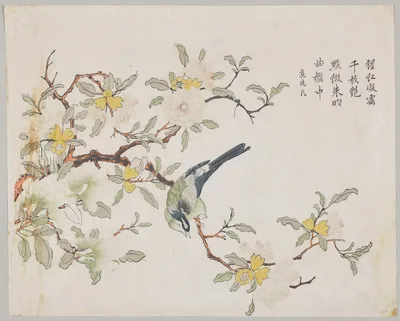Bird on Pomegranate, 1700