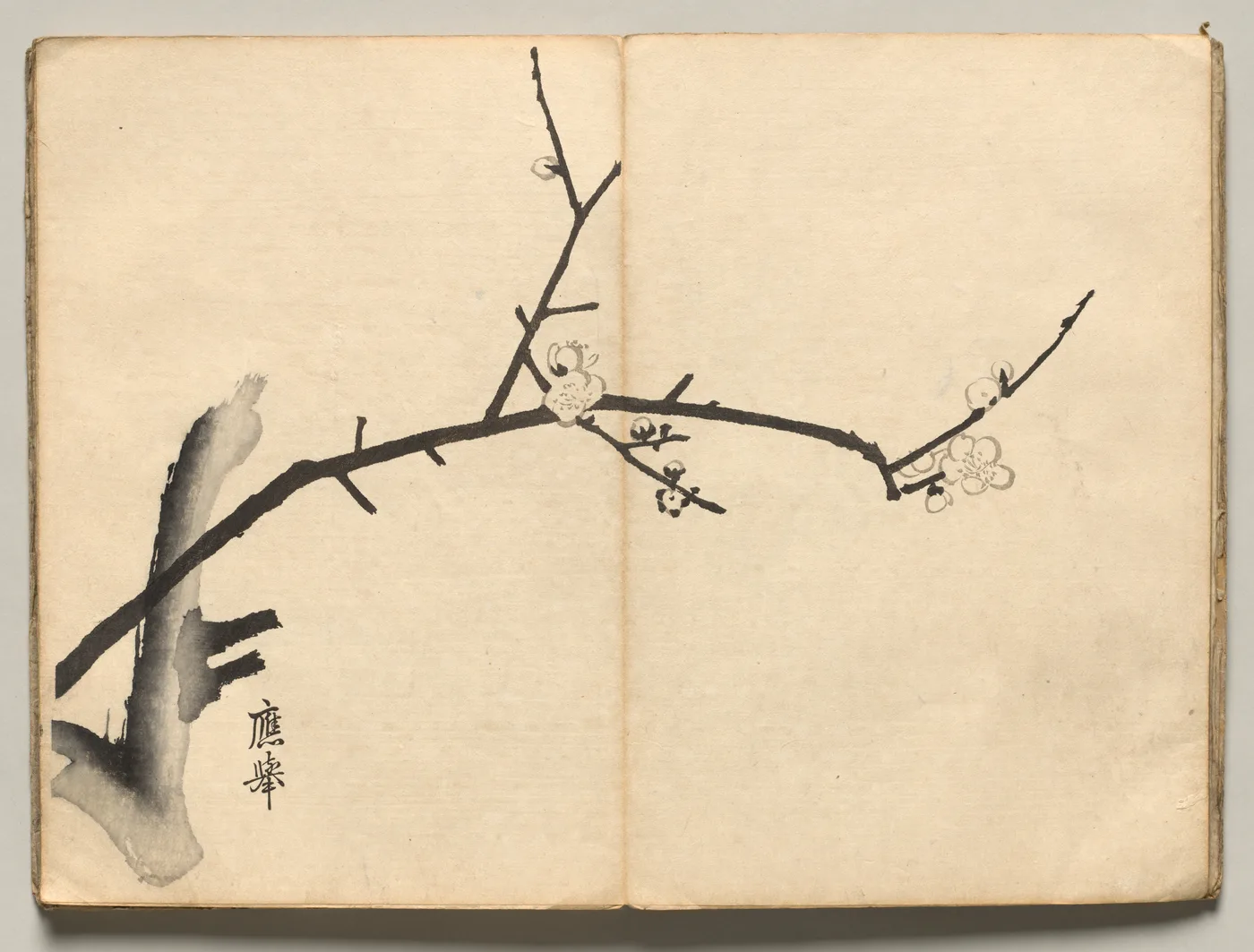 Plum from Ōkyo Picture Book, 1850