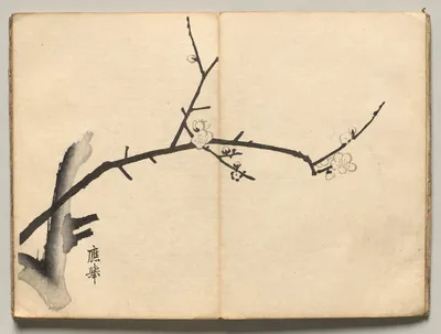Plum from Ōkyo Picture Book, 1850