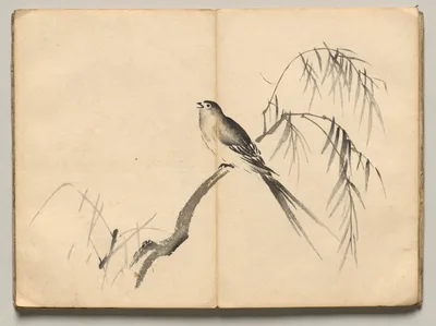 Warbler from Ōkyo Picture Book, 1850