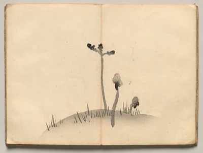 Bracken from Ōkyo Picture Book, 1850