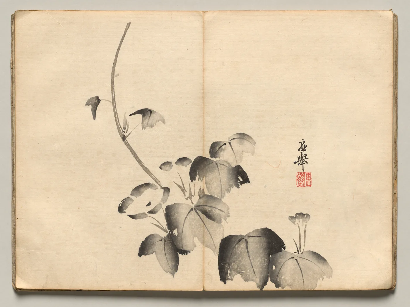Morning Glory from Ōkyo Picture Book, 1850