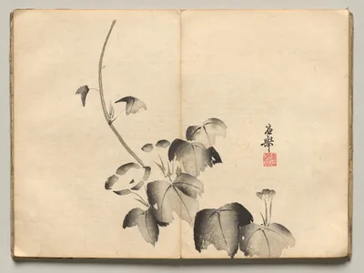 Morning Glory from Ōkyo Picture Book, 1850