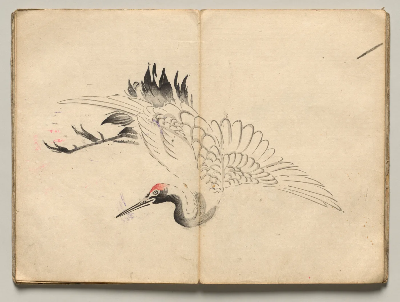 Crane from Ōkyo Picture Book, 1850