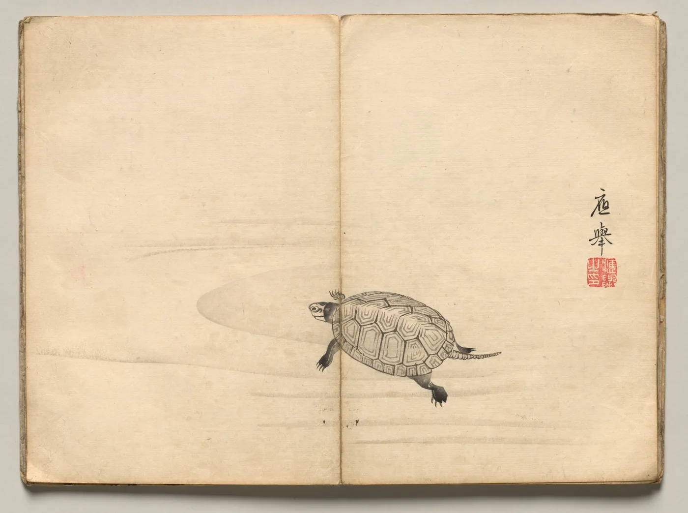 Turtle from Ōkyo Picture Book, 1850