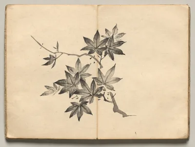 Maple from Ōkyo Picture Book, 1850