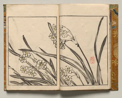 Narcissus, Design Three from Shazanrō Picture Book, 1816