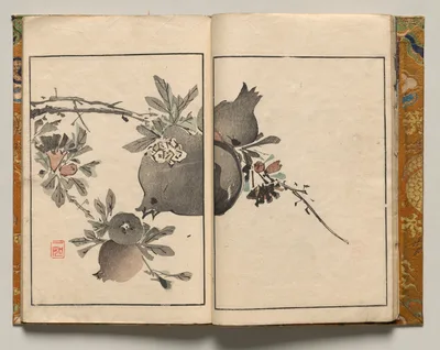 Pomegranate, Design Six from Shazanrō Picture Book, 1816