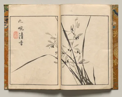 Pure Scent of Orchids, Design Twelve from Shazanrō Picture Book, 1816