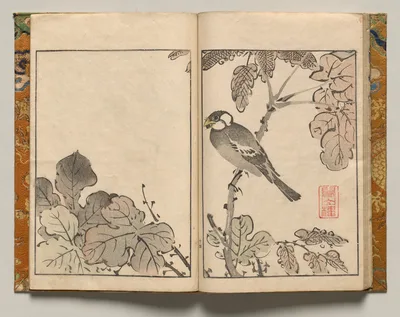 Bird on Bough, Design Fourteen from Shazanrō Picture Book, 1816