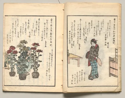 Spread Nine from Volume Four of People of Japan in Light Verse (Kyōka), 1857